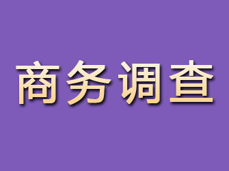 铜梁商务调查